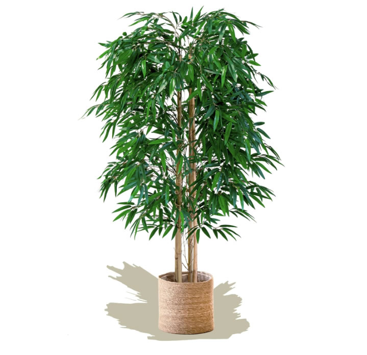 planta artificial